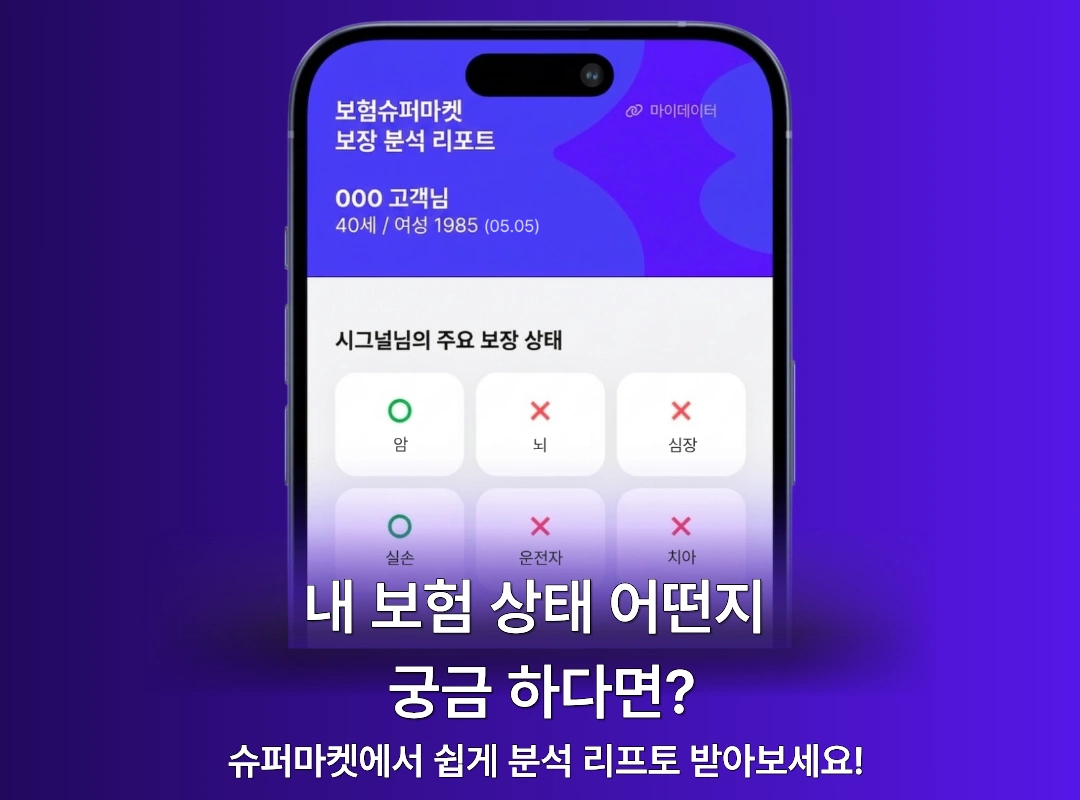 내 보험 상태 분석